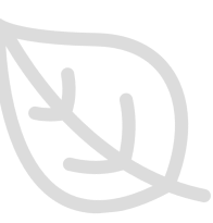 Leaf icon