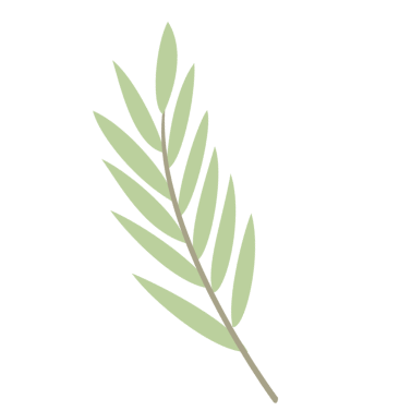 branch icon