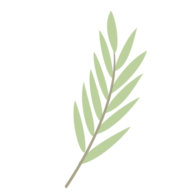branch icon